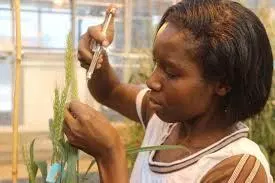 Fulbright Junior Research Scholarship Program